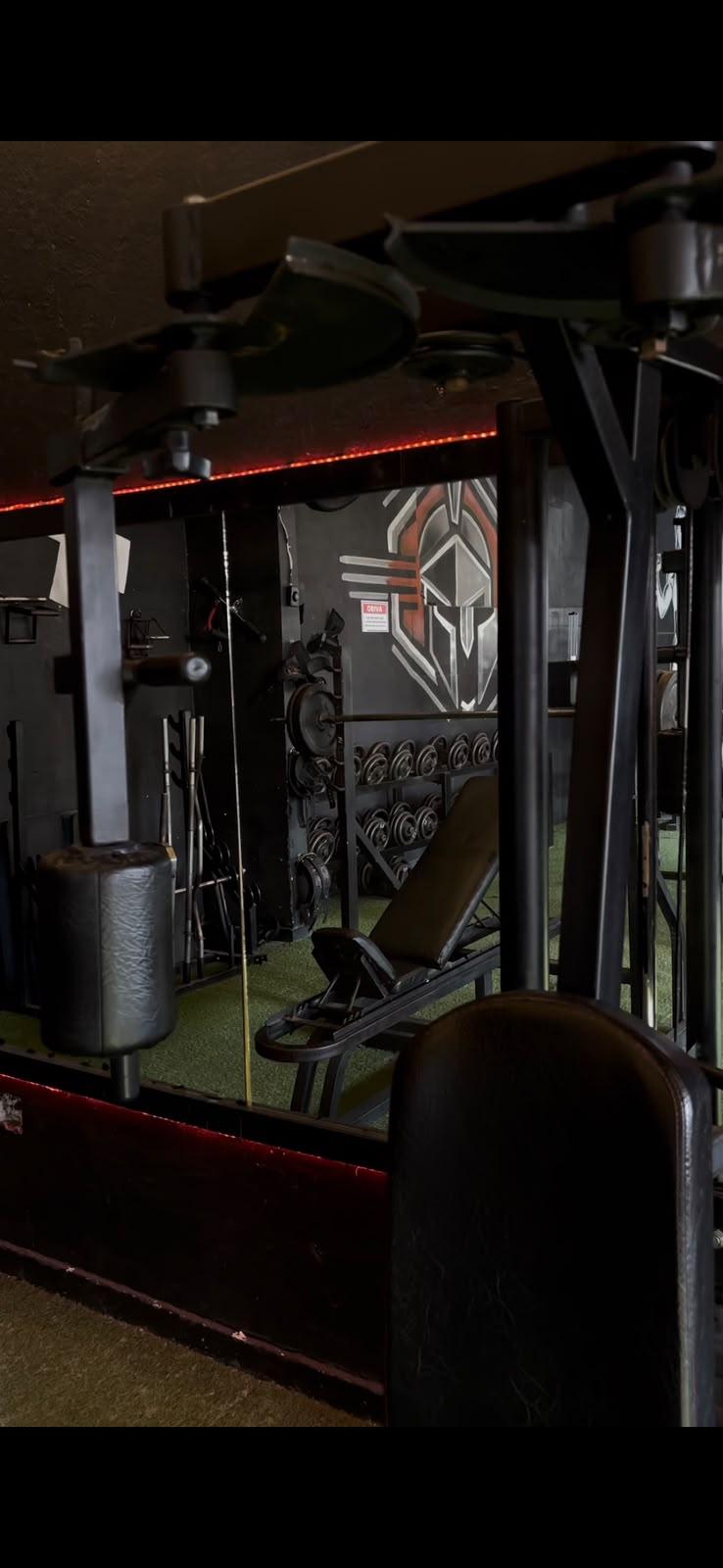 Estrutura interna da Spartan Fit com espelhos, máquinas e área de peso livre